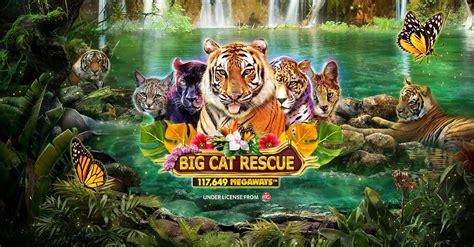 big cat rescue megaways